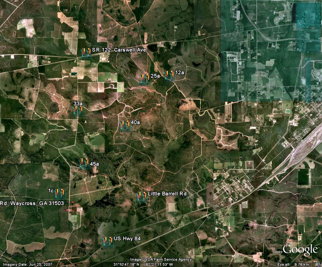 100 Acres, Gooding Bay RdW, Waycross, GA 31501 Land and Farm